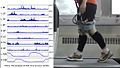 File:Reflex-Control-of-Robotic-Gait-Using-Human-Walking-Data-pone.0109959.s005.ogv