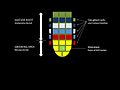 File:A-Novel-Growing-Device-Inspired-by-Plant-Root-Soil-Penetration-Behaviors-pone.0090139.s001.ogv