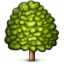 :deciduous_tree: