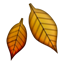 :fallen_leaf: