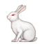 :rabbit2: