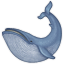 :whale2: