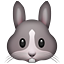 :rabbit: