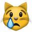 :crying_cat_face: